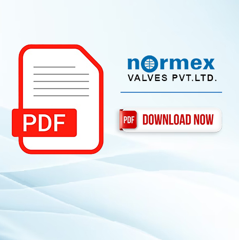 Normex Valves, CG TRADING